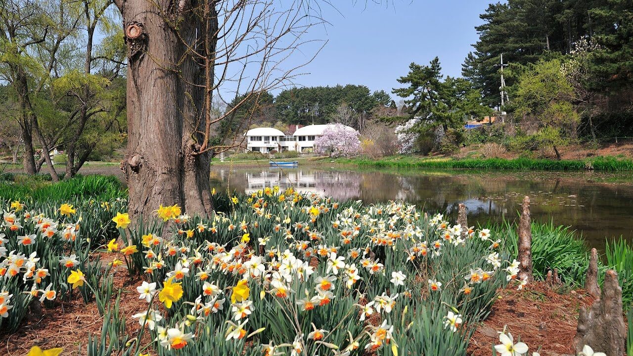 2025 천리포수목원 목련축제 입장료 사전예약