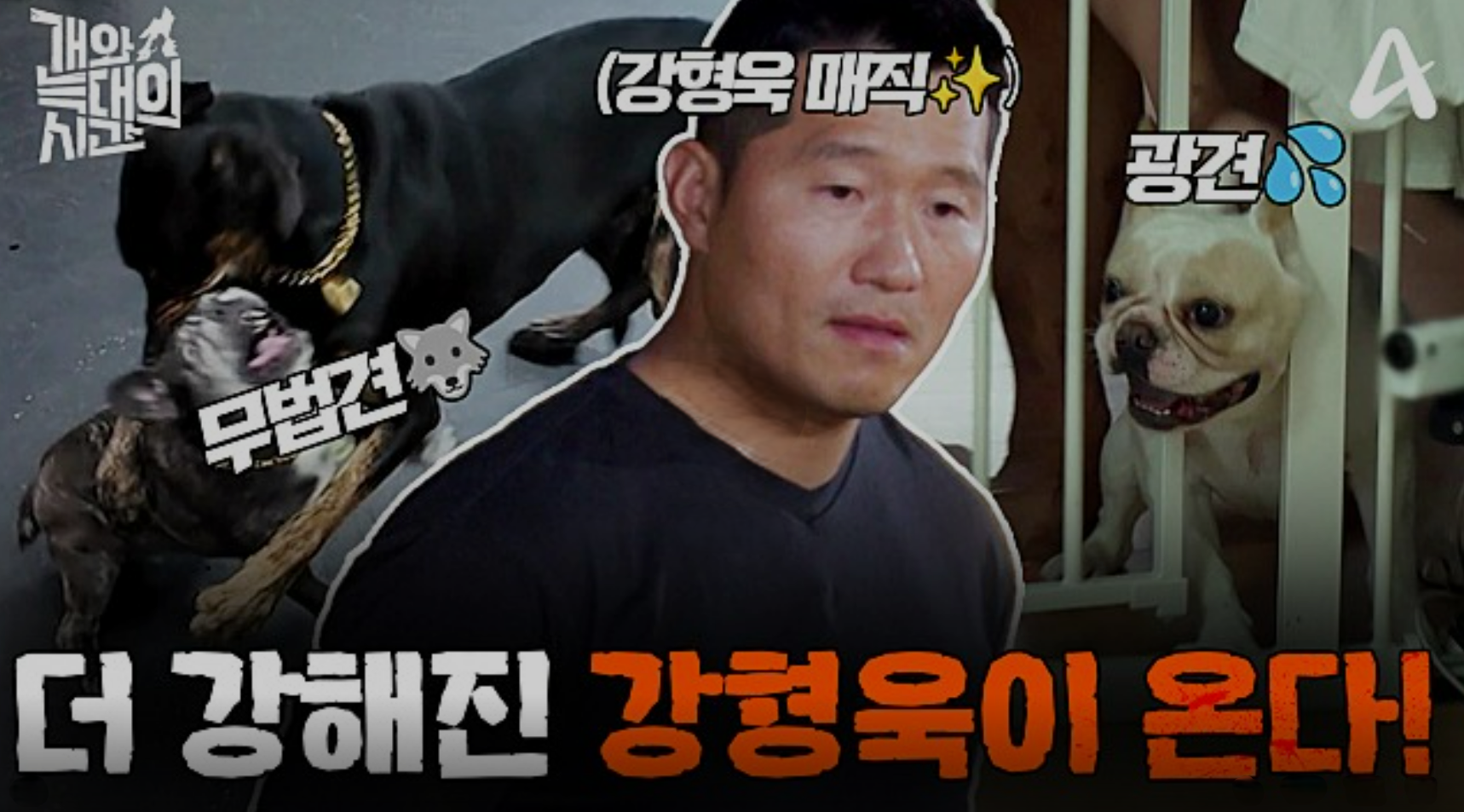 개와 늑대의 시간