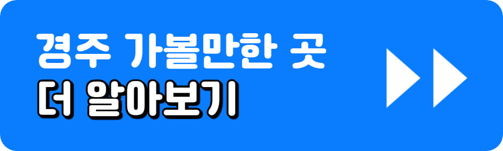 5월 국내여행지 추천 34