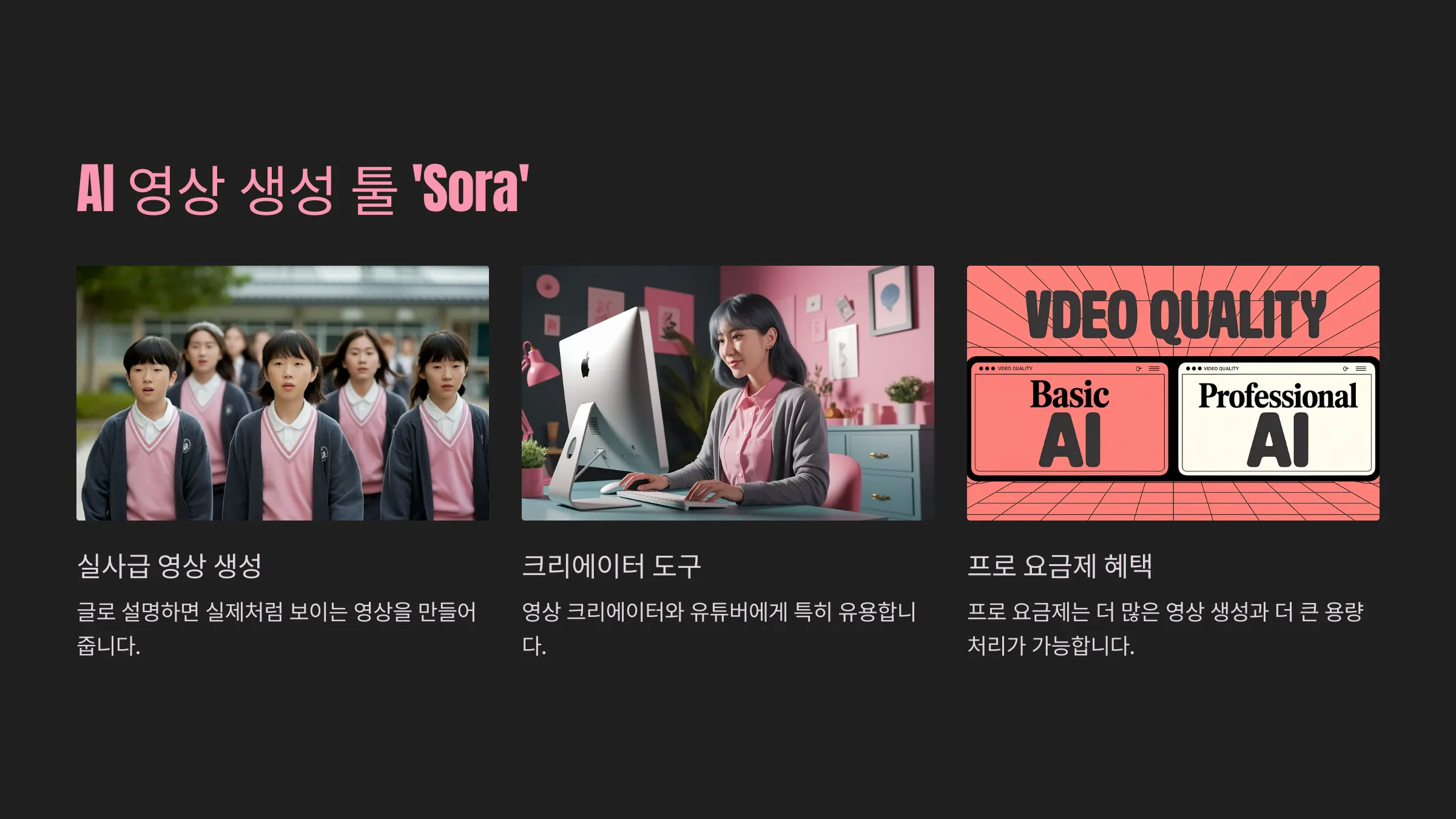프로 버전에서 사용 가능한 동영상툴 '소라' 소개