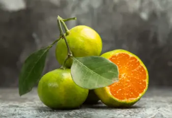 제주 귤 10kg 가격&amp;#44; 효능과 영양성분