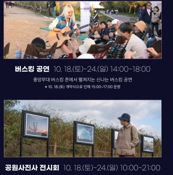 서울 억새축제
