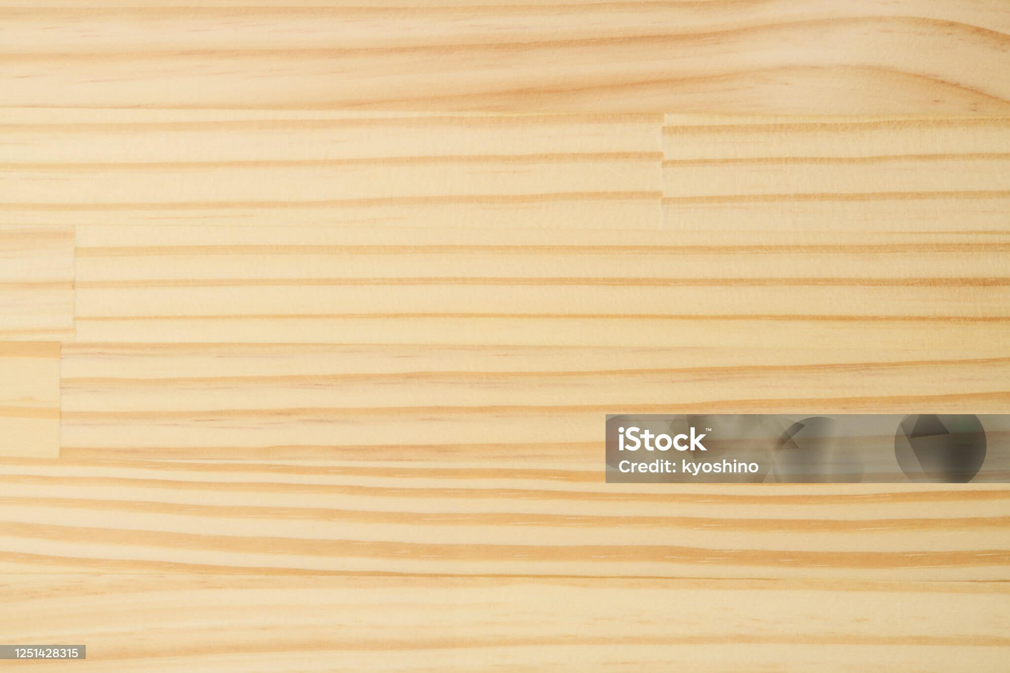 목재 단면 모습