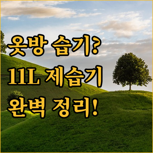 옷방 아이방 제습기 추천 11L 모델..