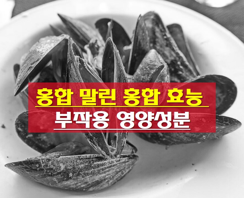 겨울 제철 홍합 사진