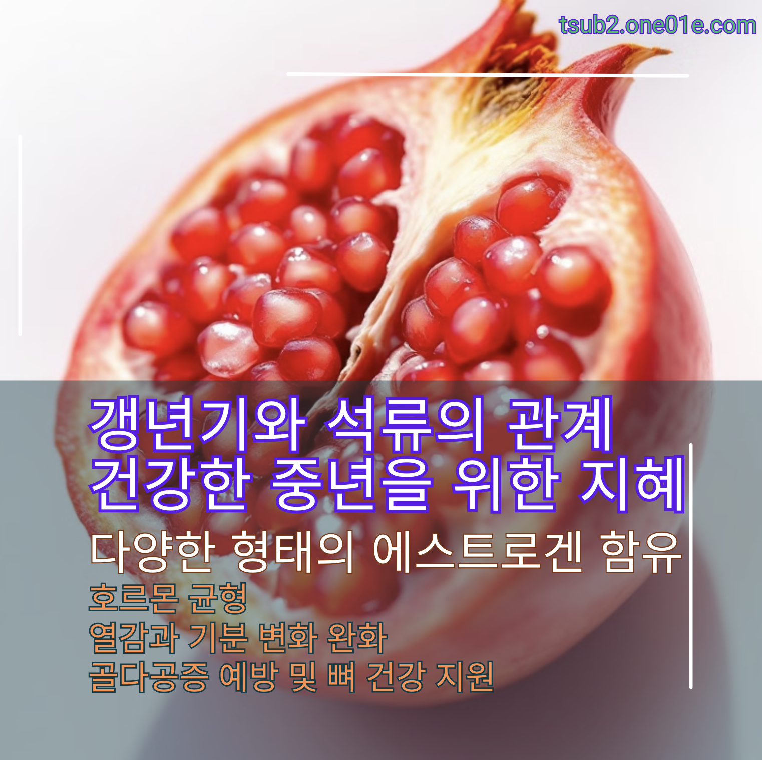 갱년기와_석류의_관계