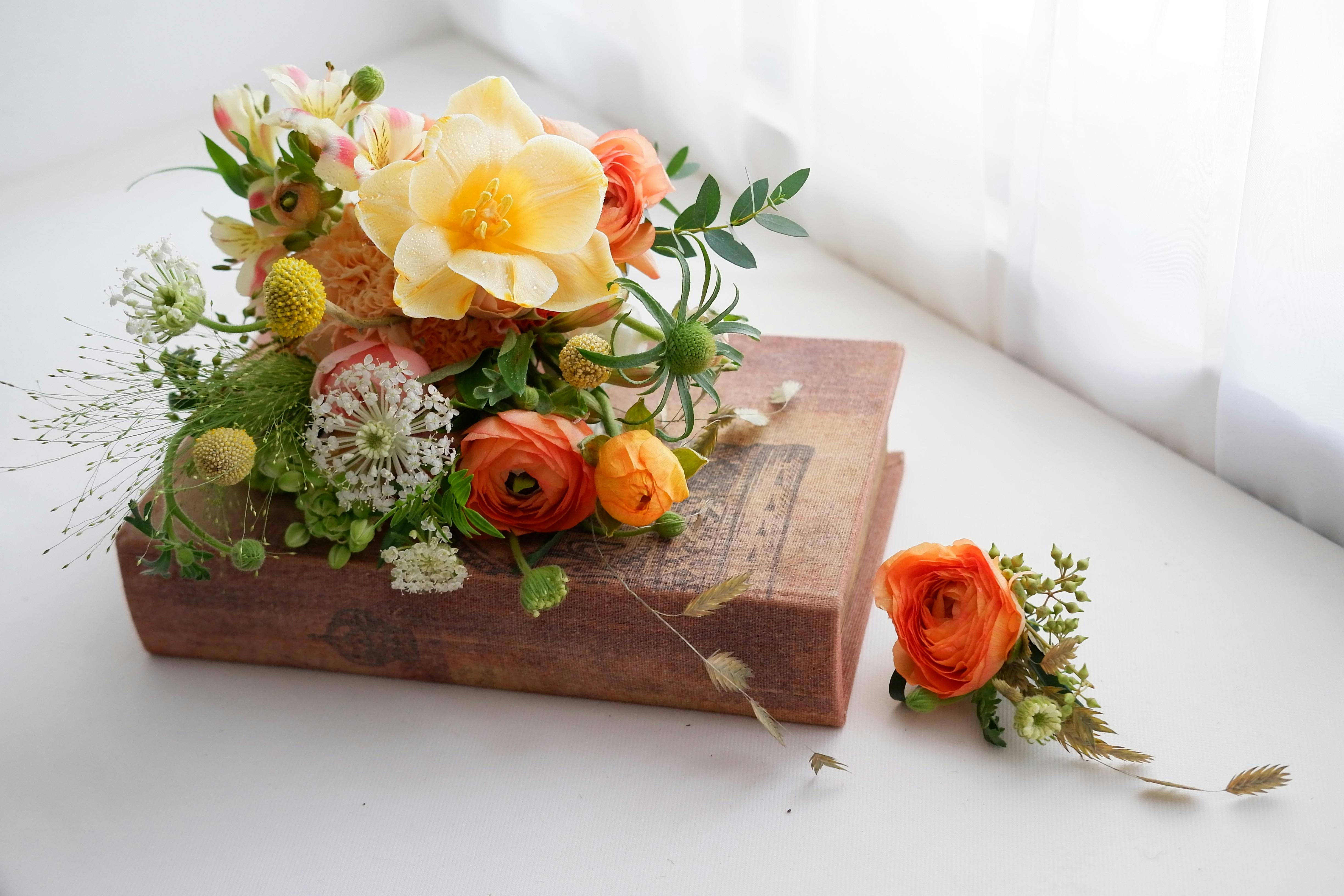 집먼지진드기 퇴치 확실한 방법