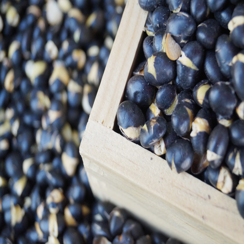 검은콩 요리법 검은콩자반 콩요리