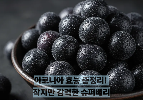 아로니아 효능 총정리! 작지만 강력한 슈퍼베리