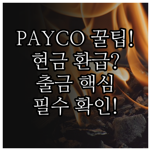 PAYCO 포인트 현금 환급을 위한 ..