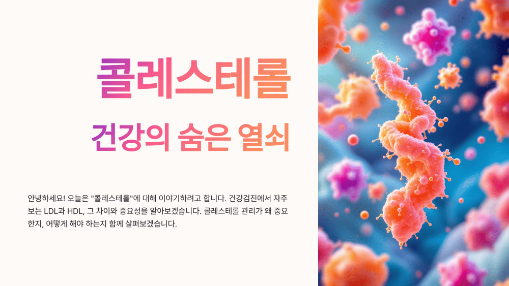 콜레스테롤의 기본 이해와 종류