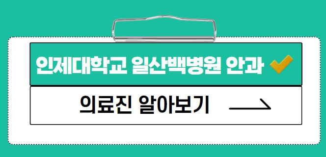 이도형 안과 의사