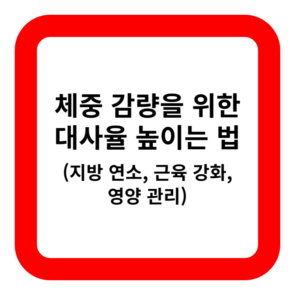 체중 감량을 위한 대사율 높이는 법 관련 사진