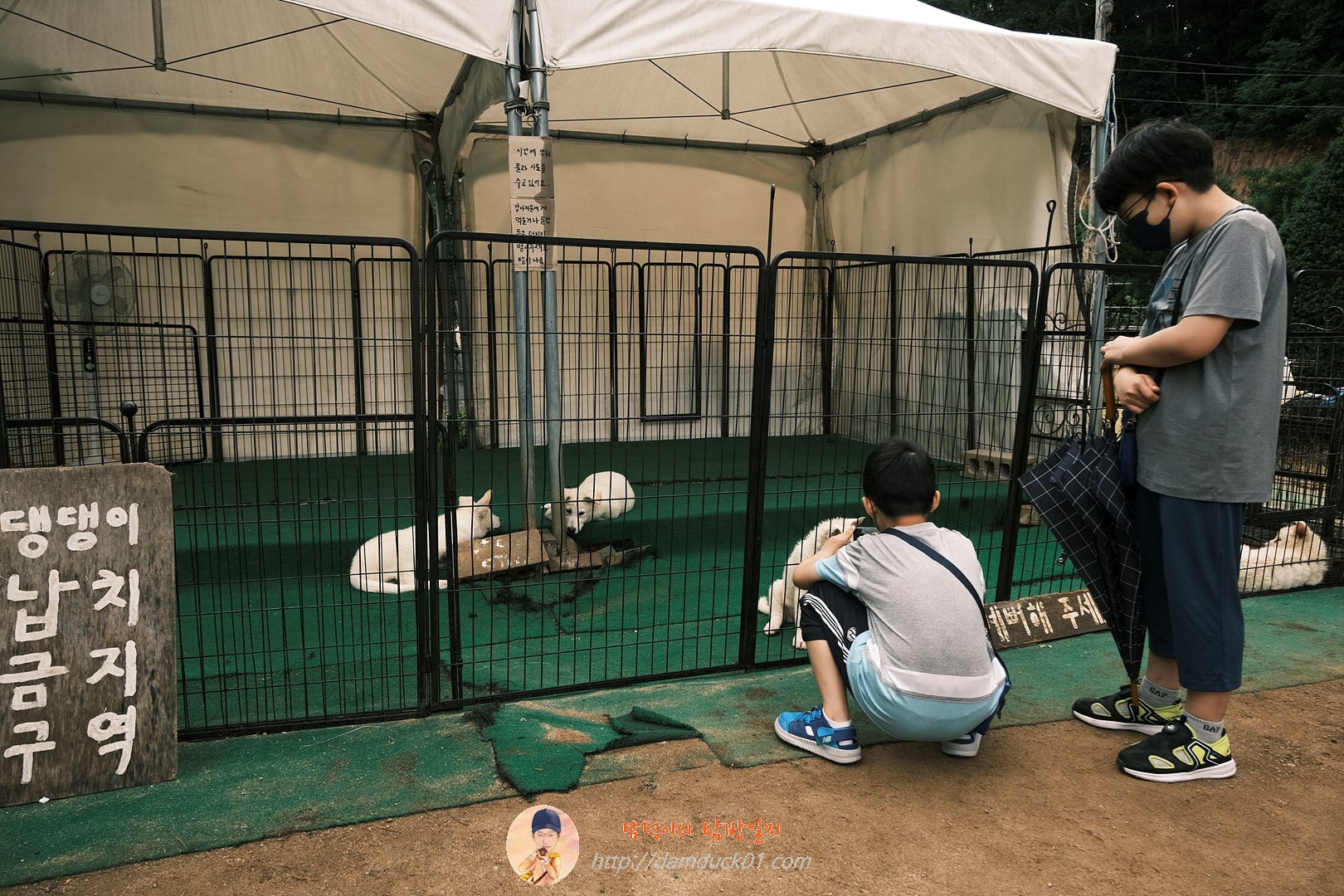 댕댕이 납치 금지 구역