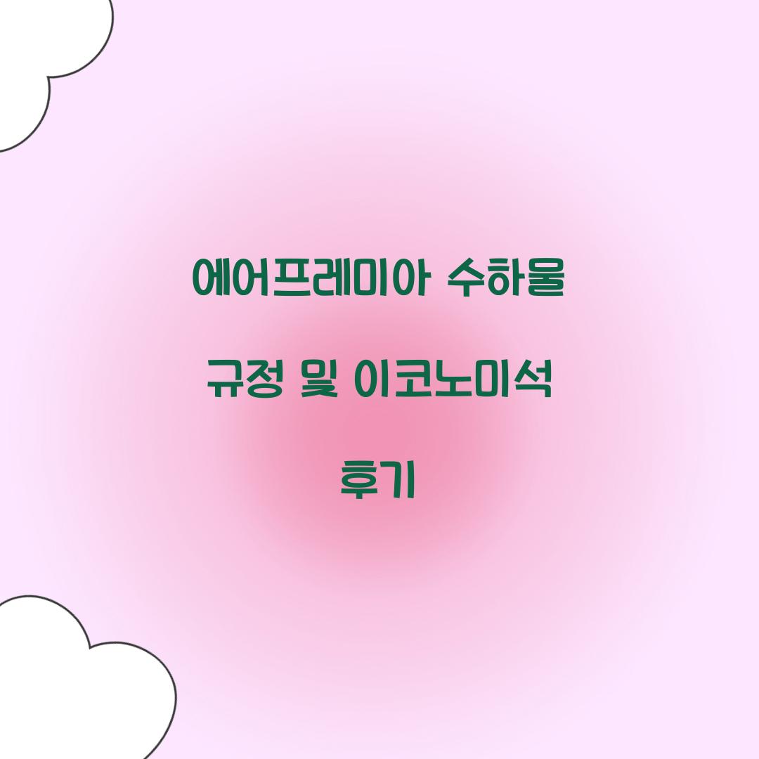 에어프레미아 수하물
