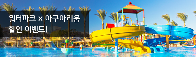 국내 인기 워터파크 비교 &amp; 꿀팁 총정리