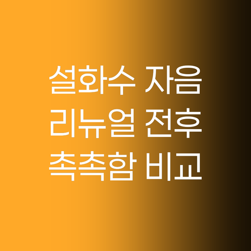 설화수 자음 2종 세트 리뉴얼 전후 ..