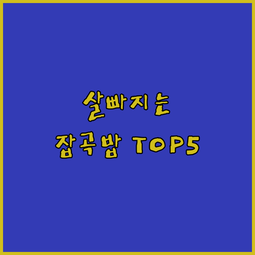 직장인 다이어트용 즉석 잡곡밥 추천 ..