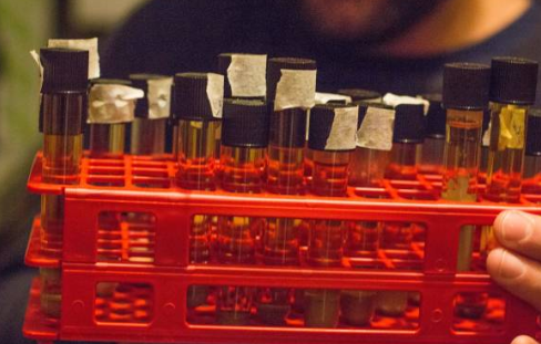 생체시료에서의 약물 안정성 시험 설계 및 해석 방법