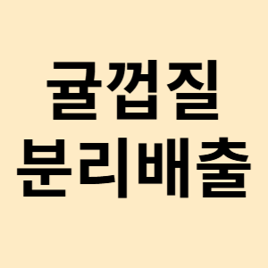 귤껍질 음식물쓰레기vs 일반쓰레기 분리수거