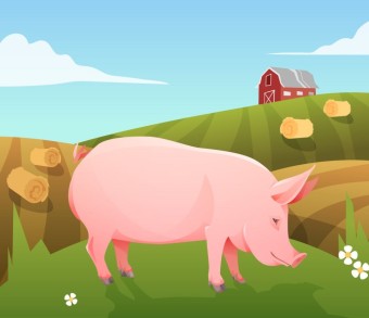 2025년 을사년 1월 운세 (12) 돼지띠 '거울앞에서 옷차림 점검'