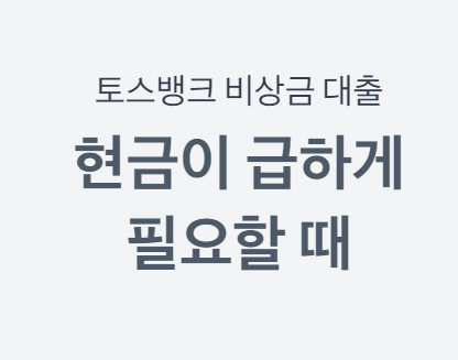 소액대출 300만원