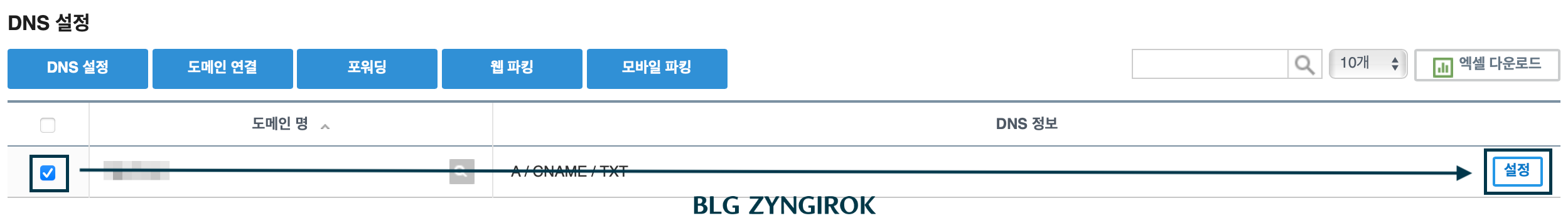 DNS-설정-페이지에서-도메인을-선택후-설정-버튼을-누른다.