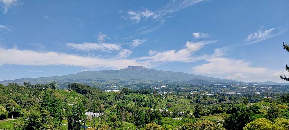 하논오름 한라산뷰