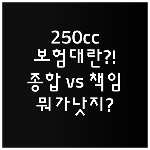 250cc 오토바이 종합보험과 책임보..