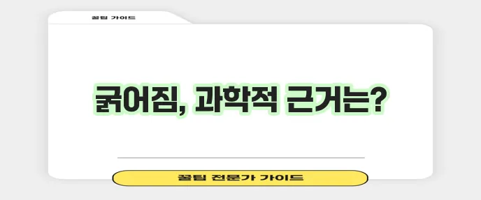머리카락 굵어지는 과학적 팁 정말 효과 있을까요?