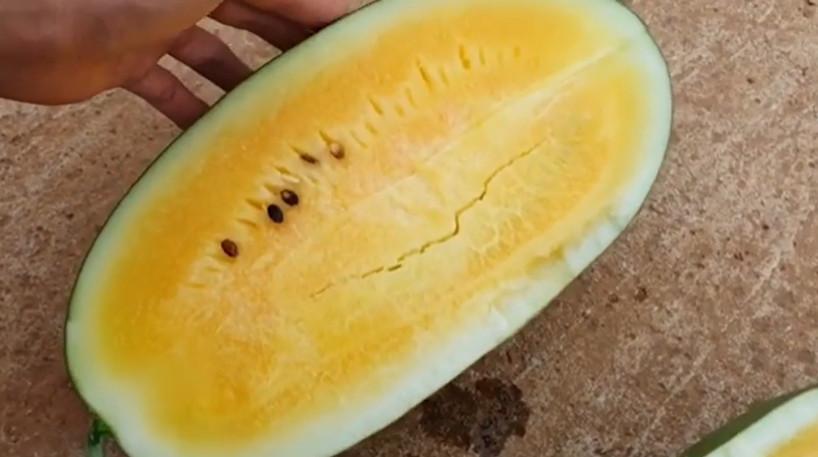 극한직업 고창 수박