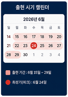 출현 시기 캘린더