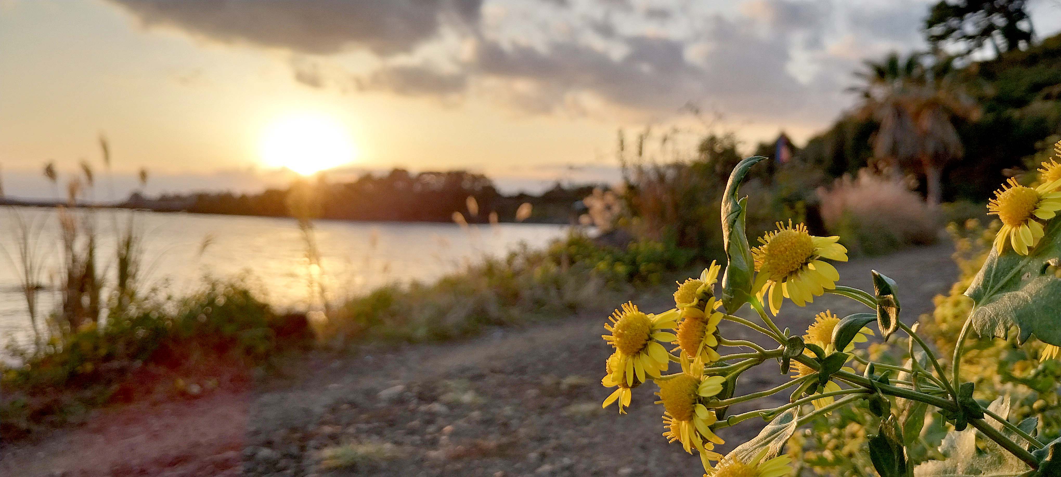 법환바다 컬러는 DIC&middot;Pantone 별색