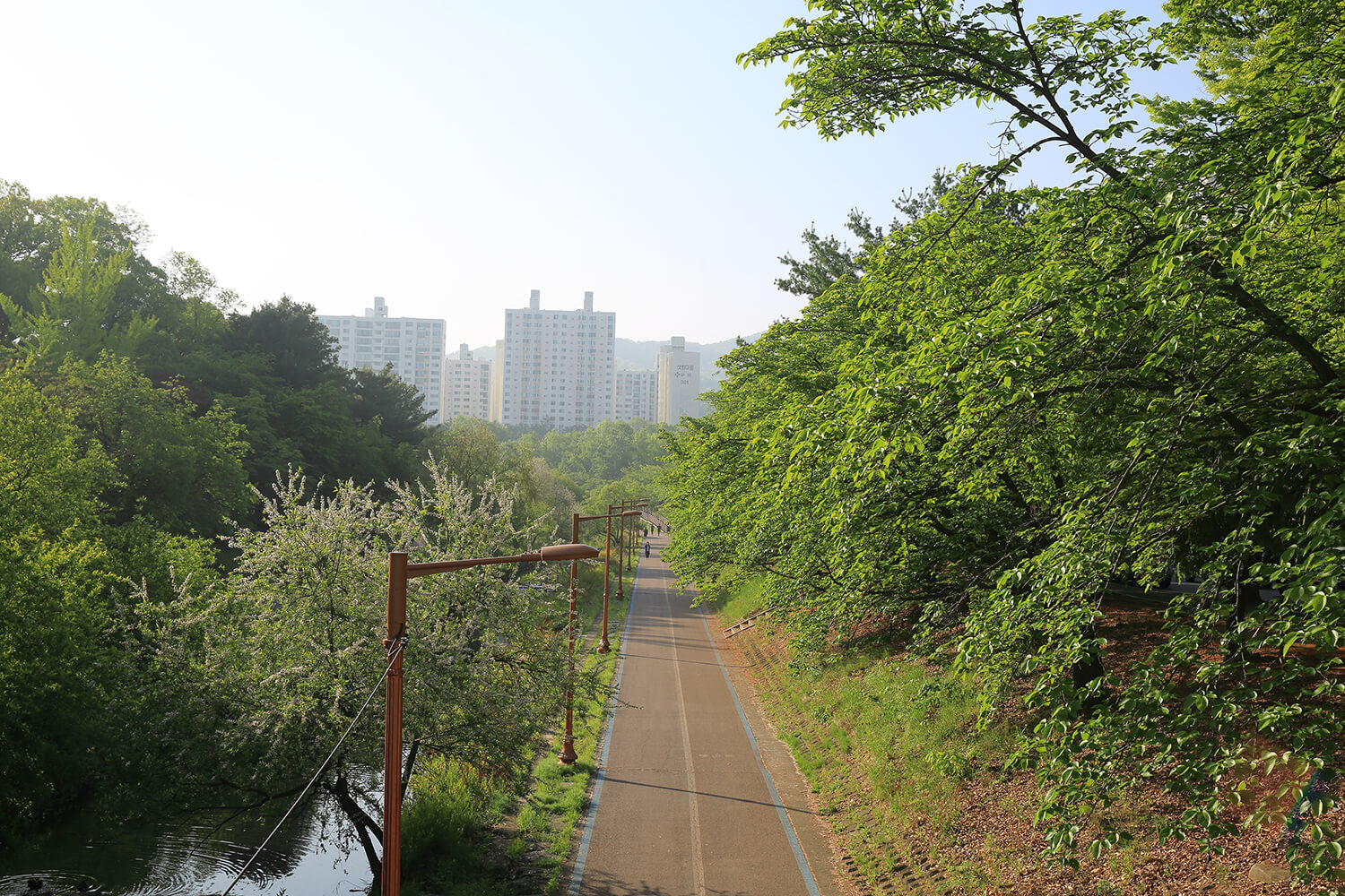 분당중앙공원