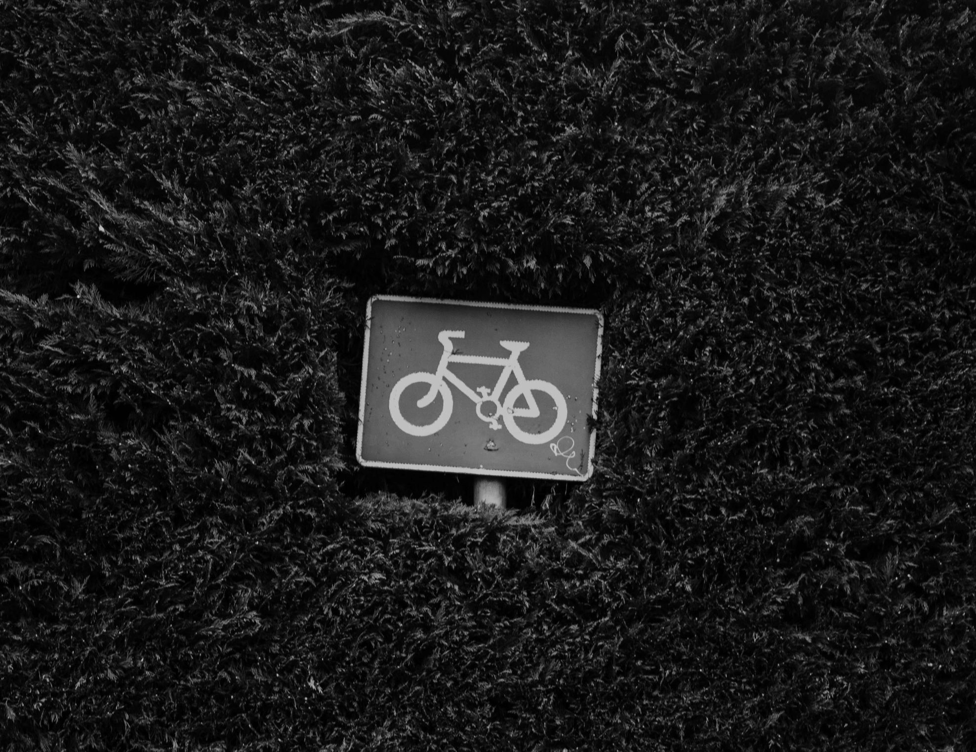 지역별 공공 자전거