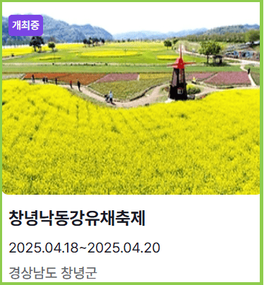 창녕낙동강유채축제