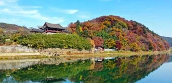 밀양 가볼만한곳 베스트10 경남 지역 대표 명소 완벽 소개_6