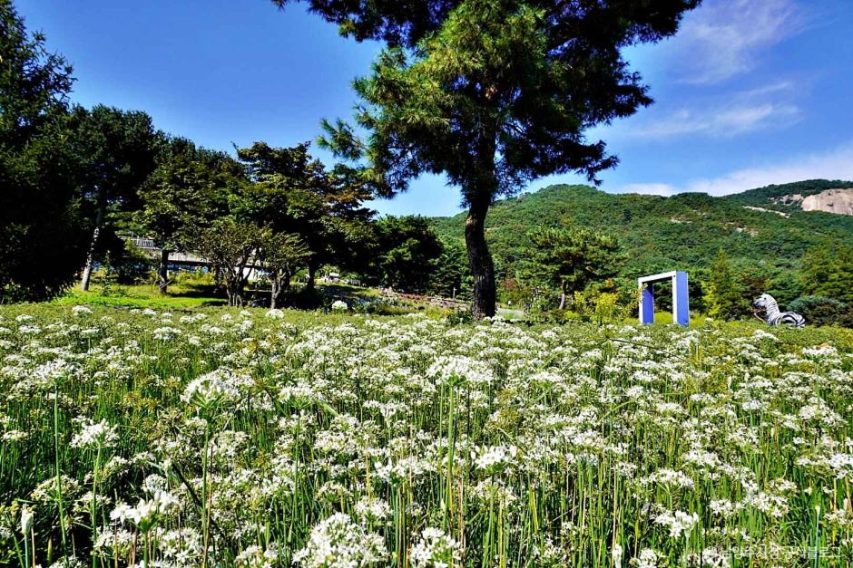 [서울 근교 여행지]산들소리 수목원 &amp; 낭만등불축제 후기