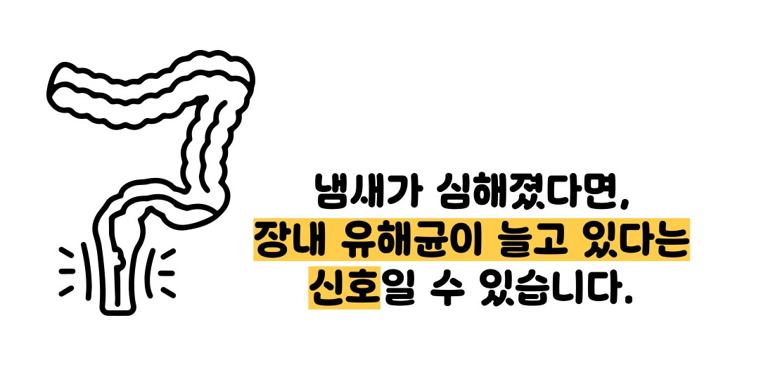 방귀 냄새가 심한 이유