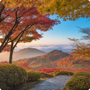 2025년 단풍 절정 시기 - 부산&middot;제주권 단풍 명소 가상 이미지
