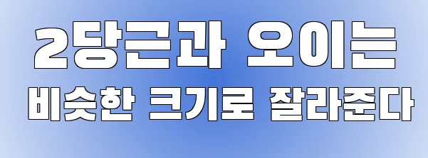  2당근과 오이는 비슷한 크기로 잘라준다