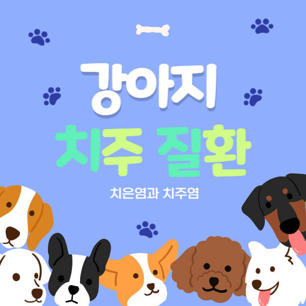 강아지_치주_질환_썸네일