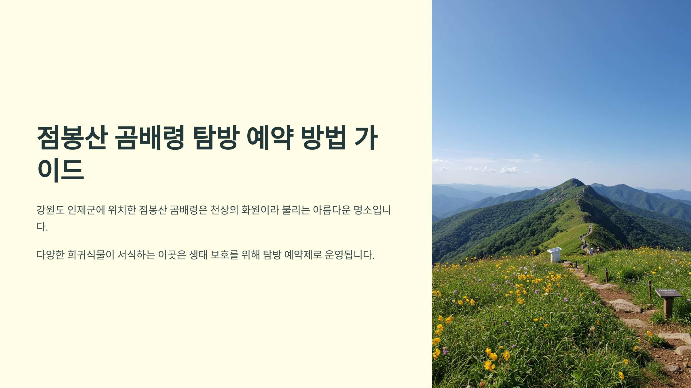 점봉산 곰배령 탐방 예약 방법 가이드