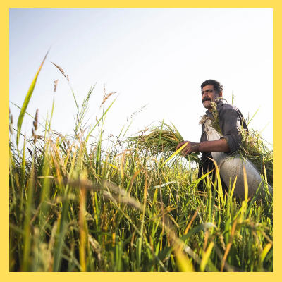 농어민수당신청