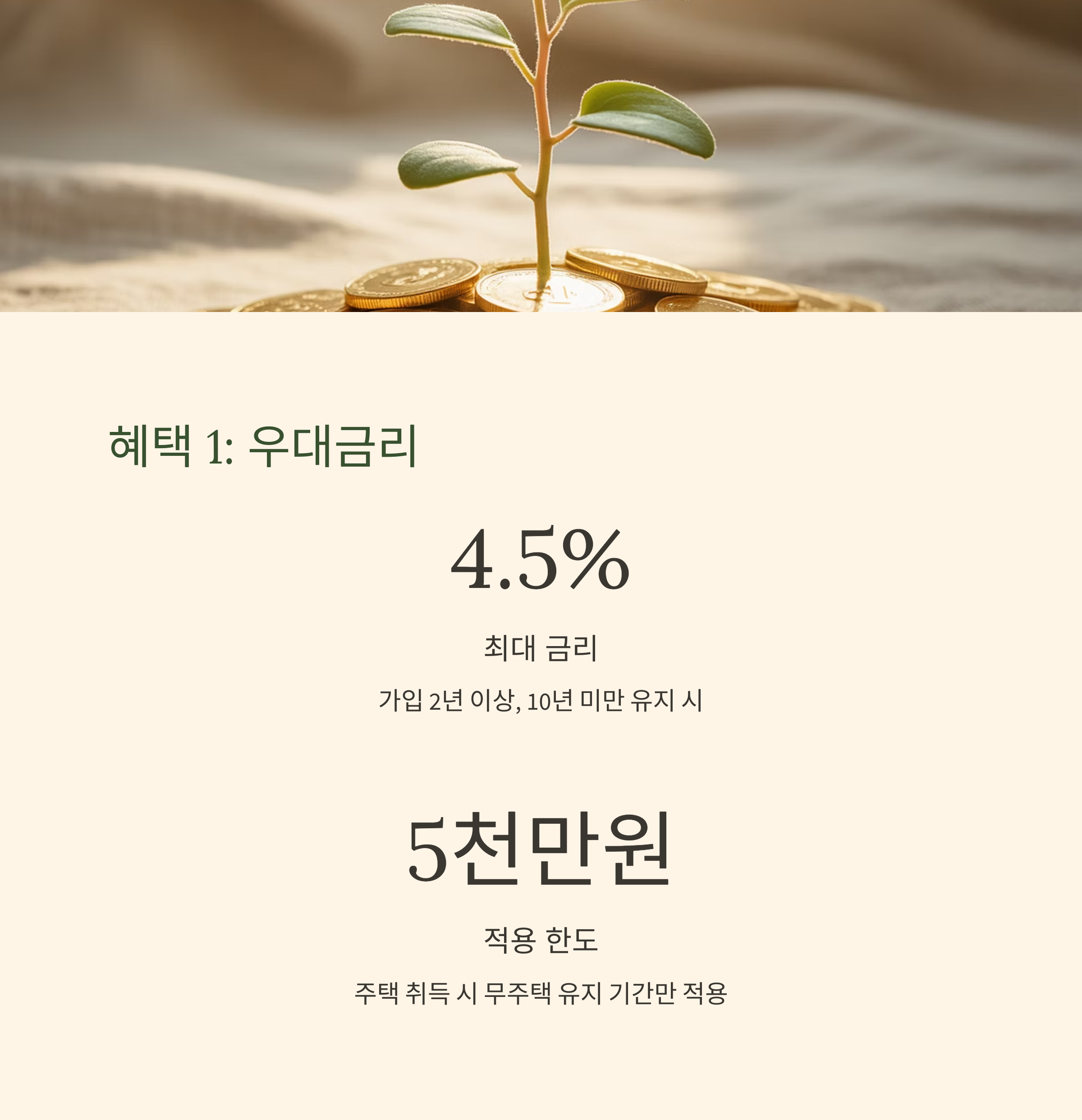 대출