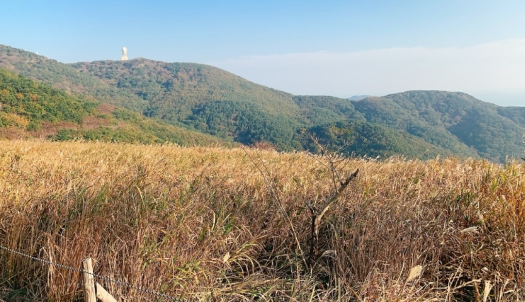 부산 금정산 억새평원