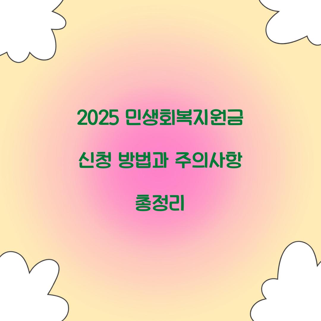 2025 민생회복지원금