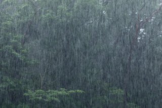 이권재 오산시장 중대시민재해 책임 가능성