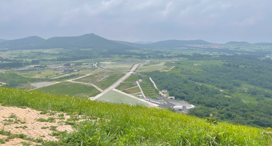 제주도 가볼만한곳 추천 베스트 10 (꼭 가봐야할 곳!)