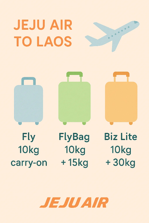 제주항공 Fly, FlyBag, Biz Lite 운임별 수하물 용량 비교 인포그래픽